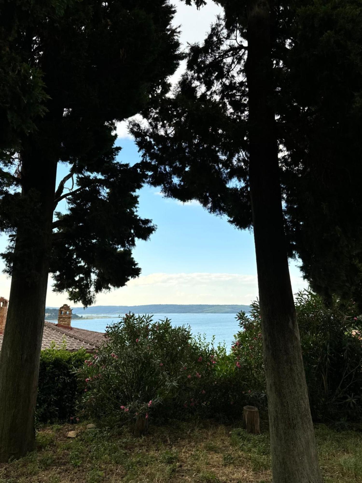 Apartman Marinaio *