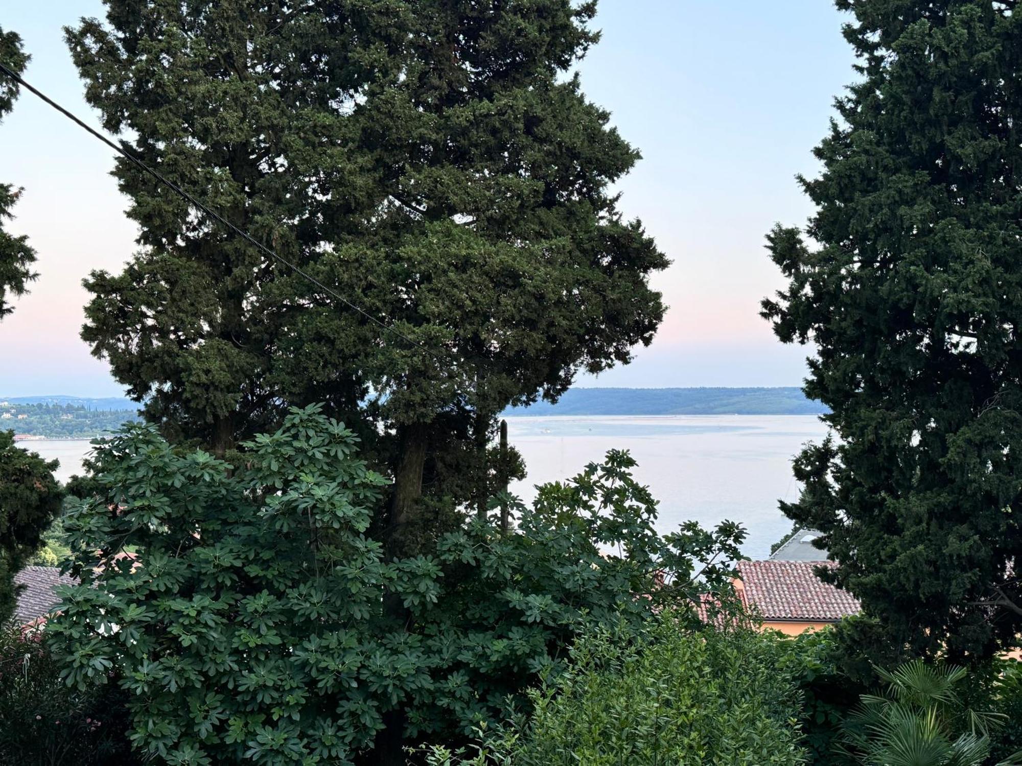 Apartman Marinaio *